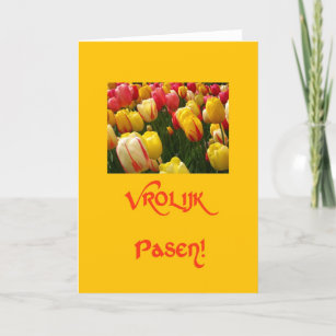 mixed tulips yellow easter greeting in dutch holiday card