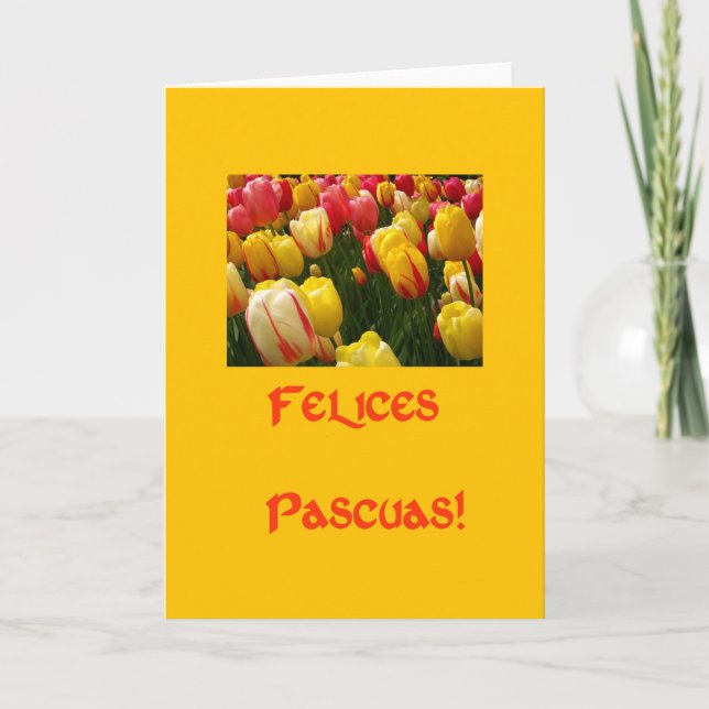 mixed tulips yellow easter greeting in spanish holiday card (Front)