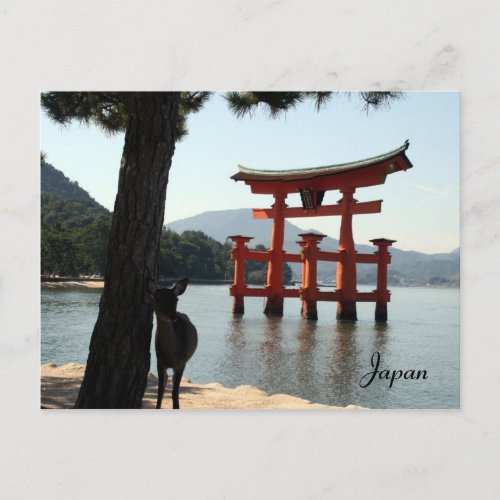 miyajima deer postcard