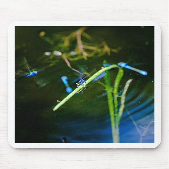 MK2A8136_v01 Mouse Pad (Front)