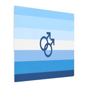 MLM Gay Male Pride Flag Metal Print
