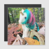 MLP Gusty in Autumn Leaves (Front/Back)