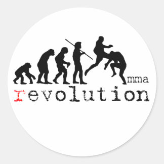 MMA Evolution Chart Flying Knee Sticker