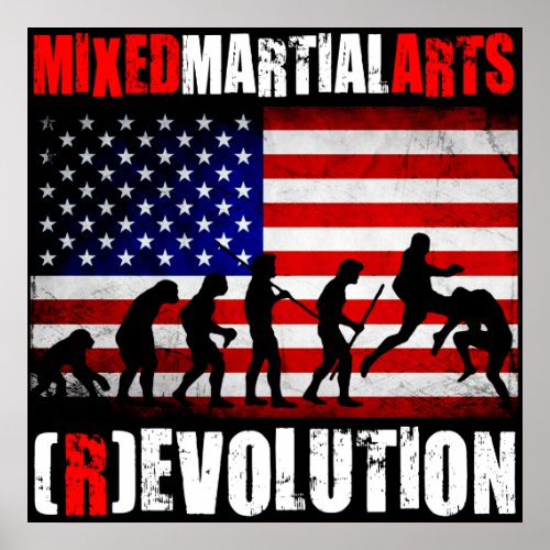 MMA _ Evolution Revolution Chart Flag Poster