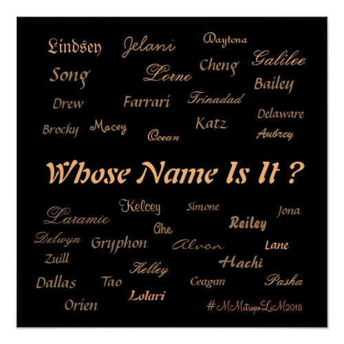 MMetropolim Whose Name Is It   POSTER   20x20