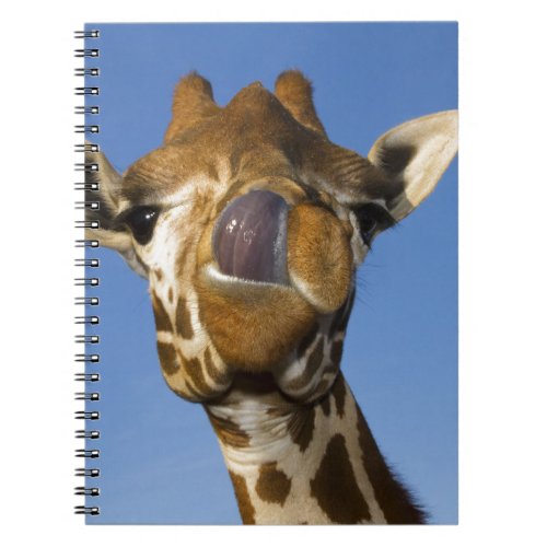 Mmmm Mmmmm Good Notebook