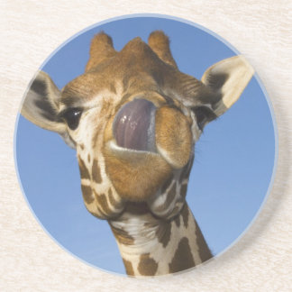 Mmmm Mmmmm Good Sandstone Coaster