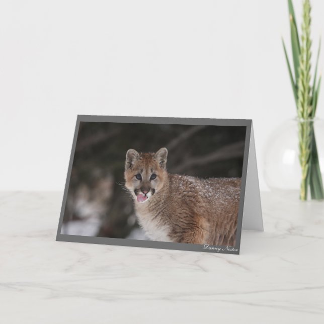 MMMMM!! CARD (Front)