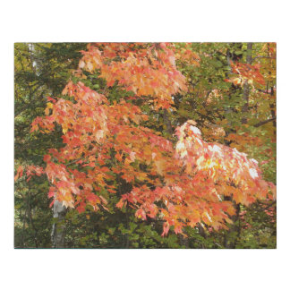 MN Autumn Gold n Orange Leaves Faux Canvas Print