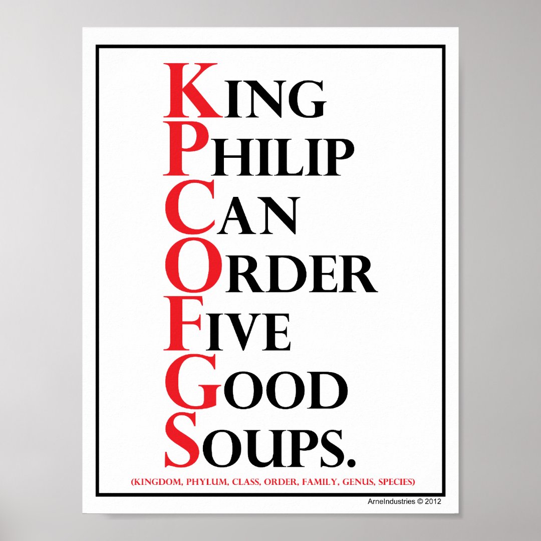 Mnemonic King Philip Species Identification Poster Zazzle