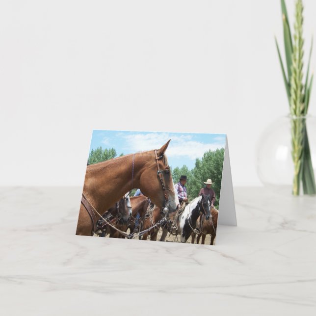 "Mo - One Great Horse" Notecard (Front)