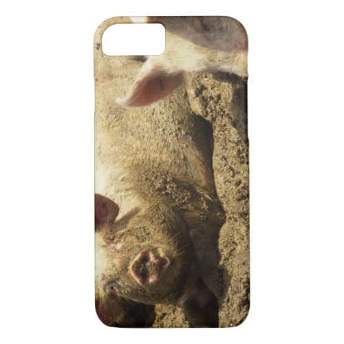 MO Ste Genevieve pig farm iPhone 87 Case
