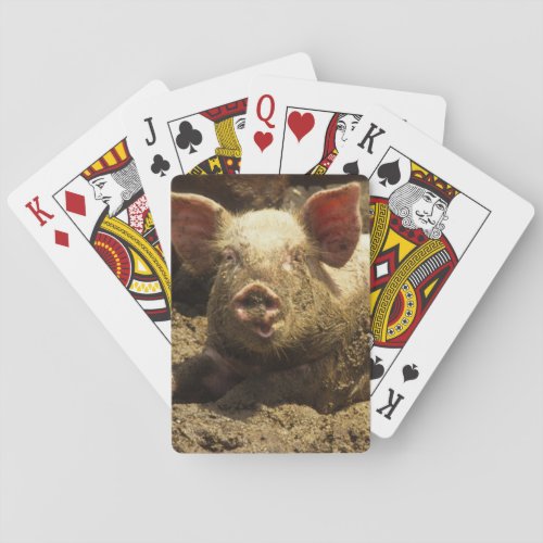 MO Ste Genevieve pig farm Playing Cards
