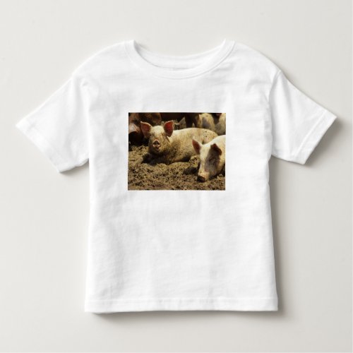 MO Ste Genevieve pig farm Toddler T_shirt