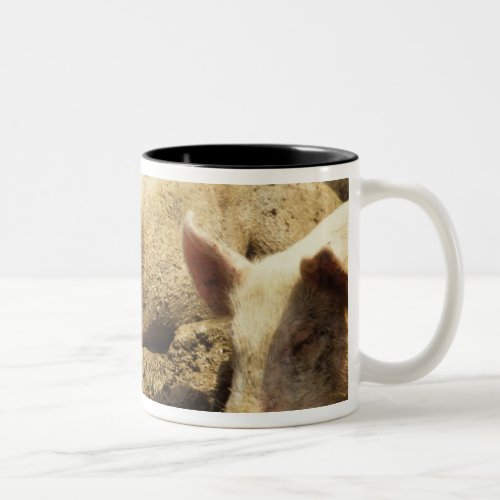 MO Ste Genevieve pig farm Two_Tone Coffee Mug
