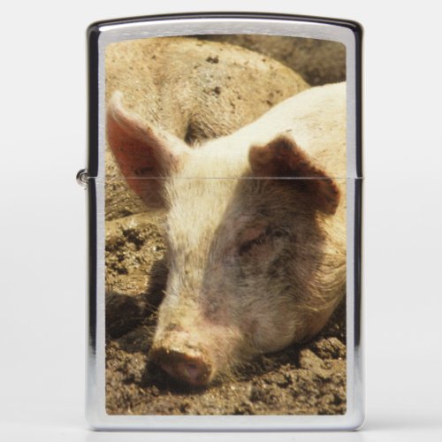 MO Ste Genevieve pig farm Zippo Lighter
