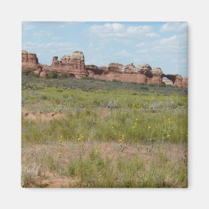 moab scenery magnet