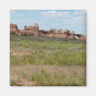 moab scenery magnet