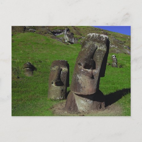 Moai on Easter Island Rapa Nui Postcard