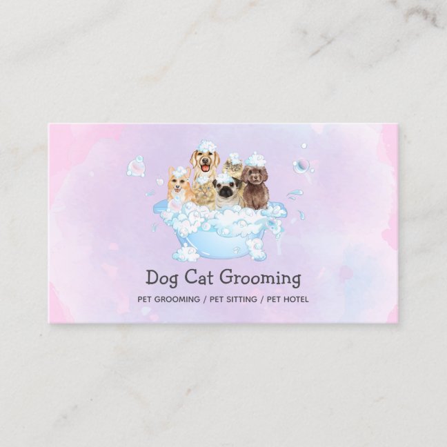 Mobile Dog Wash Van Business Card