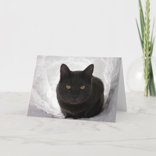 Moby in Snow Card (Front)