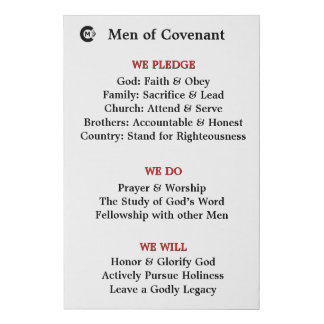 MOC Panel 1 Faux Canvas Print