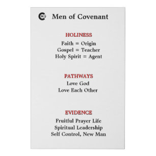 MOC Panel 3 Faux Canvas Print