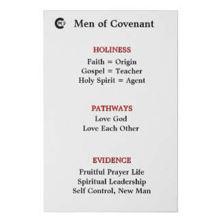 MOC Panel 3 Faux Canvas Print