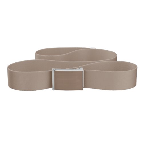 Mocha Latte Brown Earthy Neutral Solid Color Belt