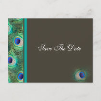 mocha peacock  Save the Date Announcement Postcard