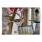 Mockingbird (Front Horizontal)