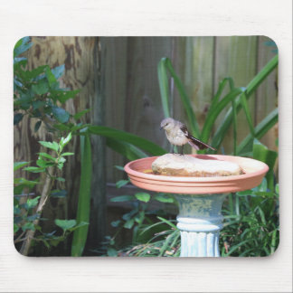 Mockingbird at Birdbath Mouse Pad