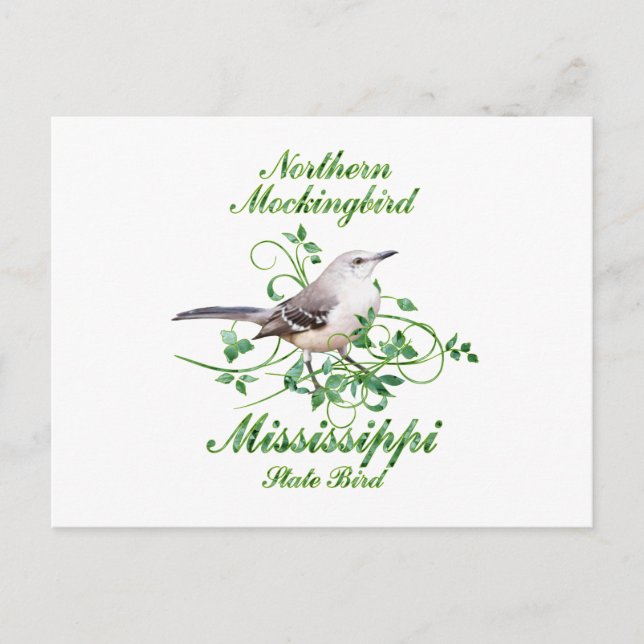 Mockingbird Mississippi State Bird Postcard (Front)