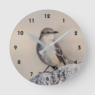 Mockingbird on a rock round clock