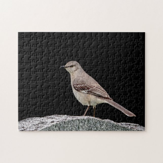 Mockingbird on a tombstone jigsaw puzzle (Horizontal)