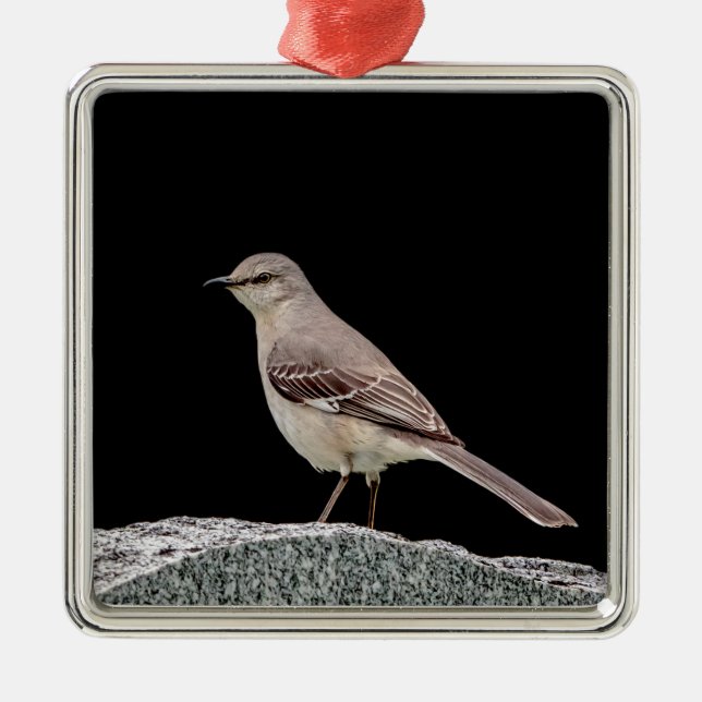 Mockingbird on a tombstone metal ornament (Front)