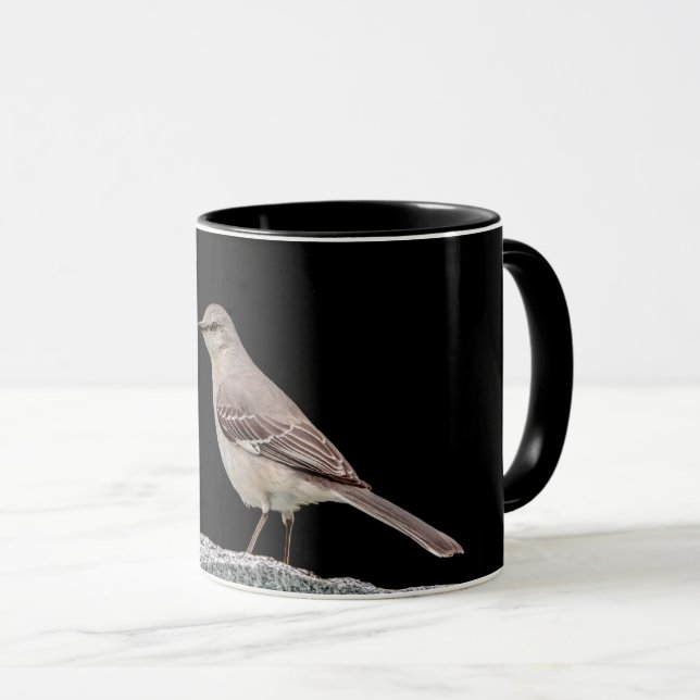 Mockingbird on a tombstone mug (Front Right)