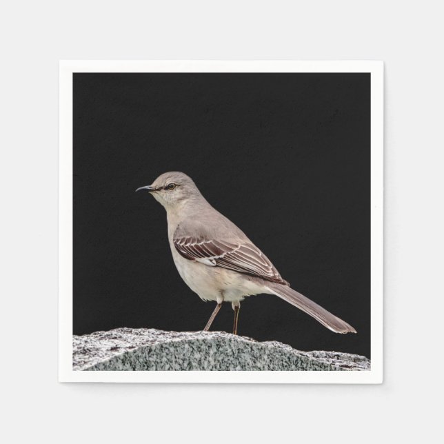 Mockingbird on a tombstone paper napkins (Front)