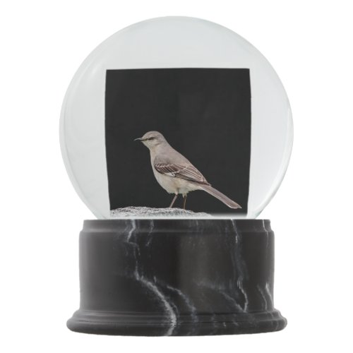 Mockingbird on a tombstone snow globe