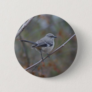 Mockingbird Ornithology Pinback Button