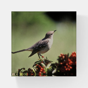 Mockingbird Paperweight