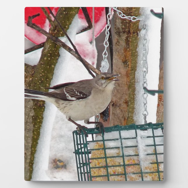 Mockingbird Plaque (Front)