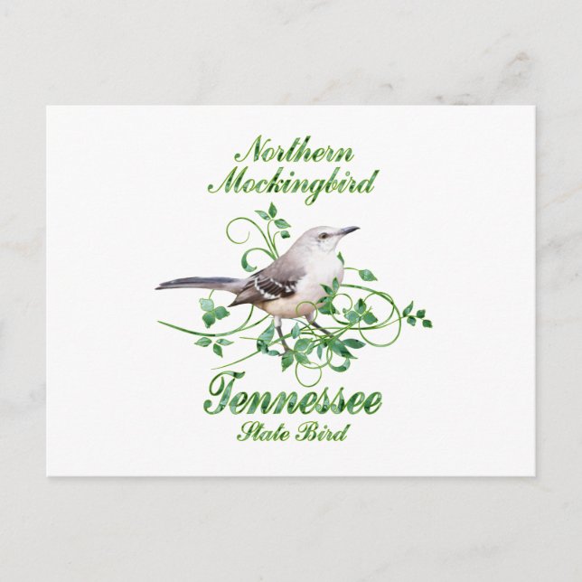 Mockingbird Tennessee State Bird Postcard (Front)