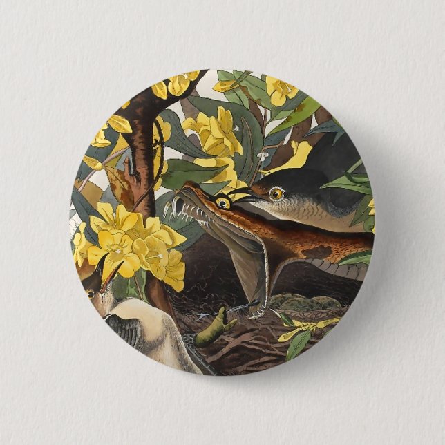 Mockingbirds, John James Audubon Button (Front)