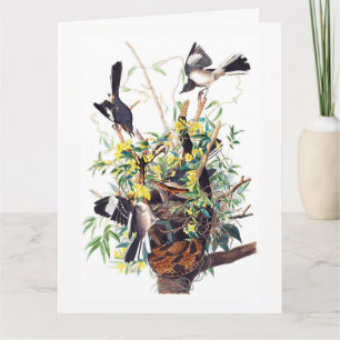 Mockingbirds Print by Audubon Card