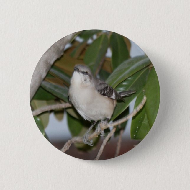 Mockingbutton - Northern Mockingbird on Magnolia Button (Front)