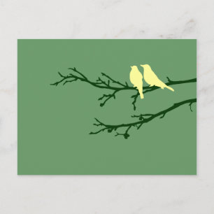 mod birds postcard