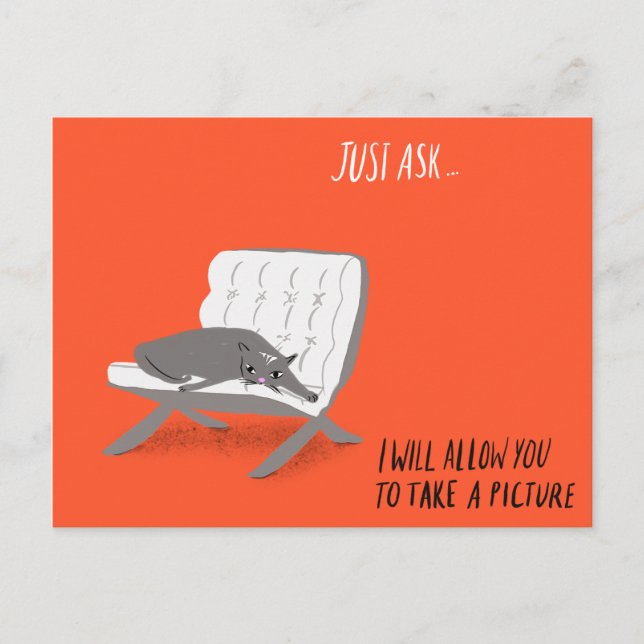 Mod Cats - Just Ask Postcard (Front)