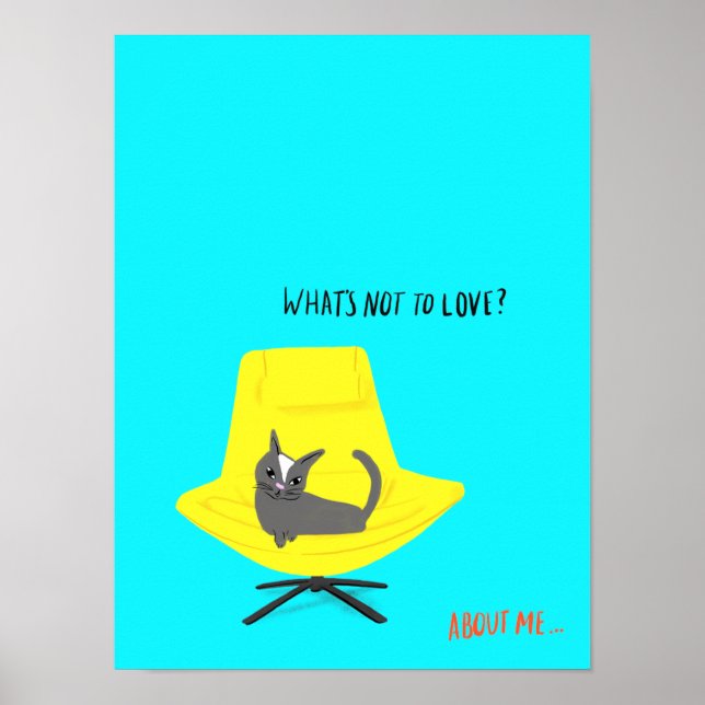 Mod Cats - What's Not to Love? Poster (Front)