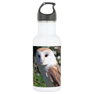 Mod Chic Classy Destiny Owl Water Bottle